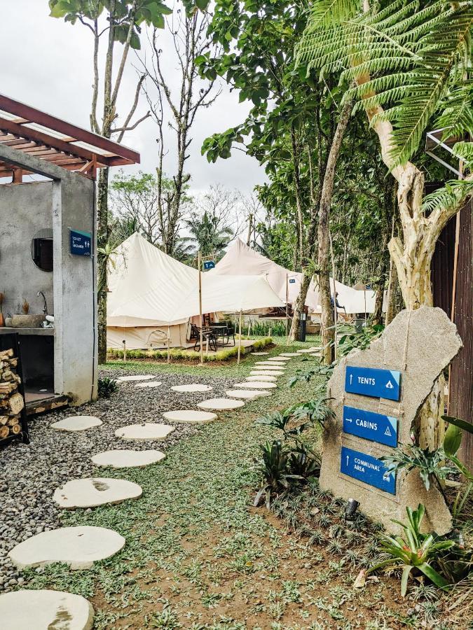 Pukupods - Tent & Luxury tent *