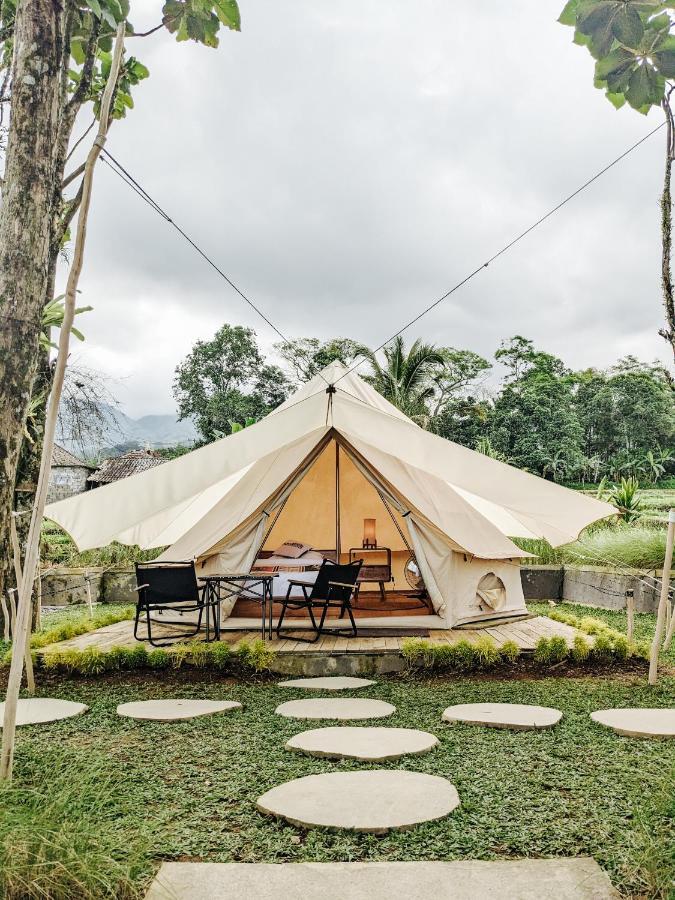 Pukupods - Tent & Luxury tent