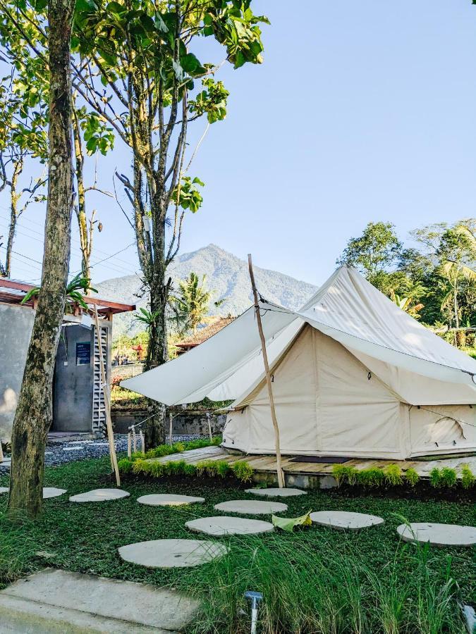 Luxury tent Pukupods - Tent &